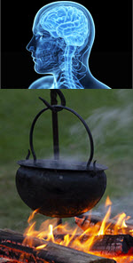 Psychology of Survival Psychology of Survival